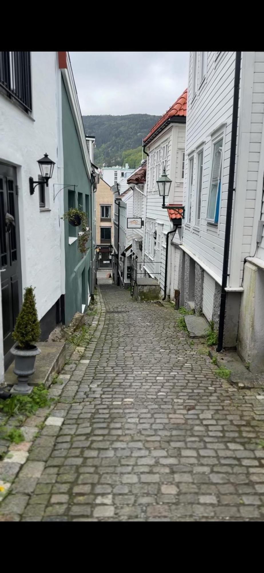 The Dreamhouse - Inner City Center - Old Town Bergen Bagian luar foto